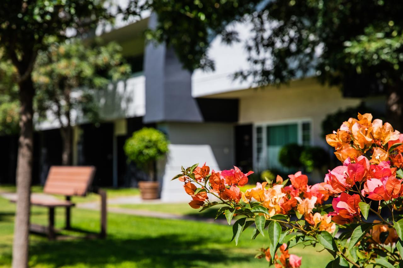 Fiesta Inn San Luis Potosi Glorieta Juarez Ngoại thất bức ảnh